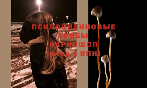 гидра Зерноград